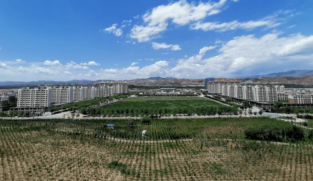 海东_2025澳门精准免费大全,蒙蔽修复、全面解答与解释